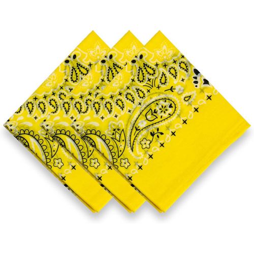 Ershi-3 Pack 100% Cotton Bandana For Women Men Gift Packaging - Cowgirl Cowboy Accessories Scarf Headband Neckerchief - Large Pais[5