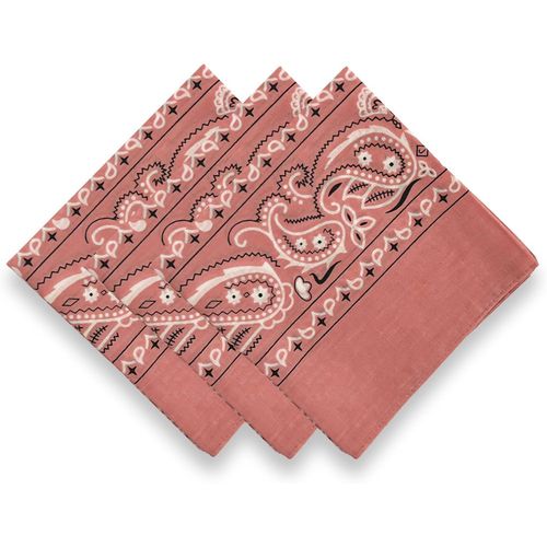 Ershi-3 Pack 100% Cotton Bandana For Women Men Gift Packaging - Cowgirl Cowboy Accessories Scarf Headband Neckerchief - Large Pais[5
