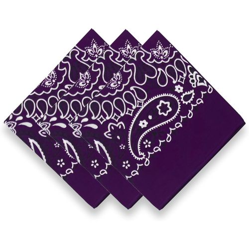Ershi-3 Pack 100% Cotton Bandana For Women Men Gift Packaging - Cowgirl Cowboy Accessories Scarf Headband Neckerchief - Large Pais[5