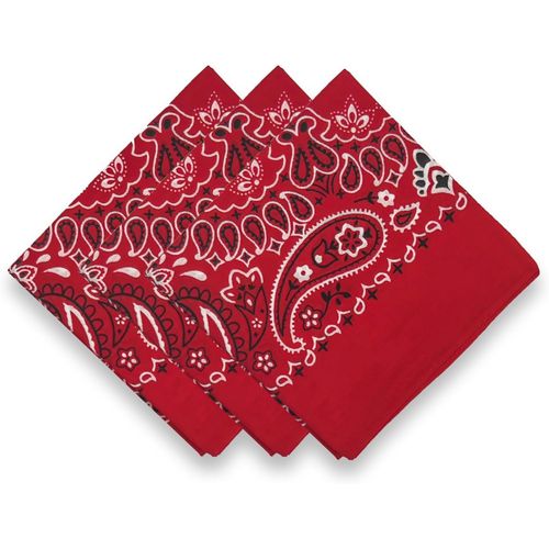 Ershi-3 Pack 100% Cotton Bandana For Women Men Gift Packaging - Cowgirl Cowboy Accessories Scarf Headband Neckerchief - Large Pais[5