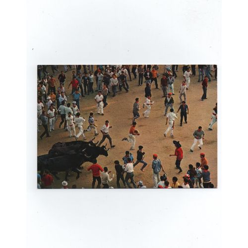 Pampelune San Fermines Encierros - Les Taureaux Rentrant Dans L'Arène.