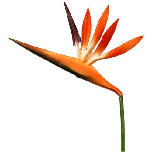 meimieshop-Lot De 8 Fleurs Artificielles Oiseau De Paradis De 53,3cm,Plante Verte Pour Décoration DeMaison,Jardin,Bureau,Véranda,Décorations DeMariage(Orange Rouge)
