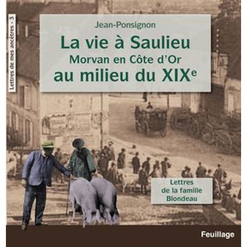 La Vie À Saulieu En Morvan (Côte-D'or) Au Milieu Du Xixe Siècle