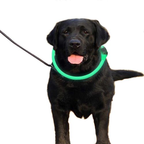 Collier De Chien Led, Collier De Chien Lumineux Collier De Sécurité Étanche Usb
