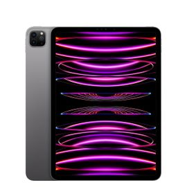 Tablette Apple iPad Pro M2 (2022) 11" Wi-Fi + Cellular 256 Go Gris sidéral
