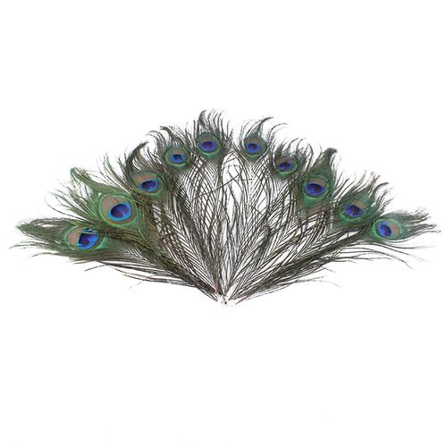 10pcs Plumes De Paon Attrayant Bricolage Création Naturelle Paon Oeil Queue Plume Pour Party-Hao