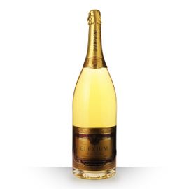 Champagne Trouillard Elexium Brut Brillant 300cl - Caisse Bois