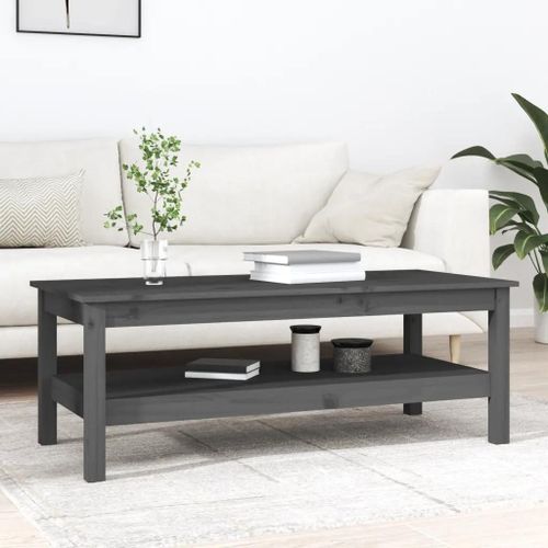 Table Basse En Bois Massif De Pin | 110x50x40 Cm, Gris, Compacte, Etagere De Rangement, Multifonctionnelle