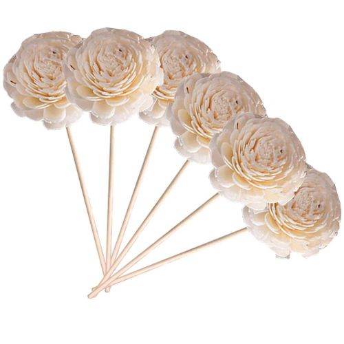 Bâtonnets de Diffuseur d'Arôme en Rotin, Fleurs vaccées, Bouteille d'Huile, Inserts, Baguette pour Diffuseurs Essentiels d'Aromathérapie