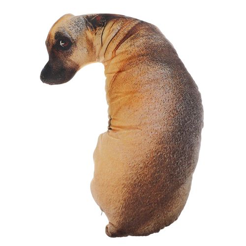 Oreiller En Peluche 3d, Animaux Réalistes, Jouets Assis, Canapé, Cadeau D'anniversaire Drôle