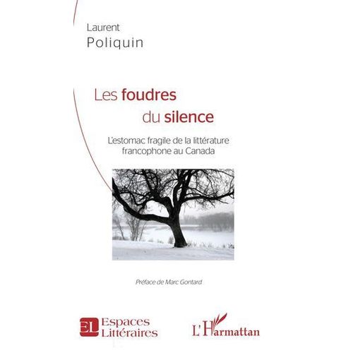 Les Foudres Du Silence