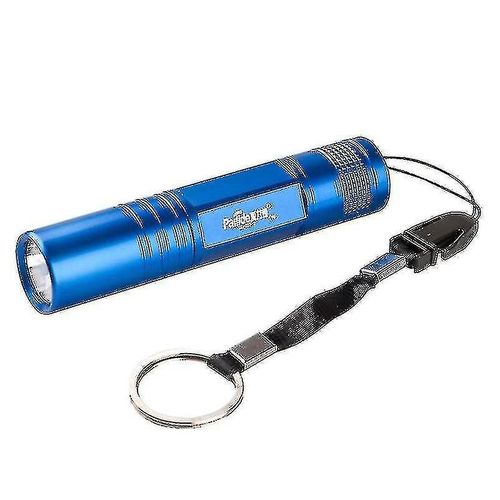 Lampe Torche Led Étanche 20 Lumens - Pile Aa, 1 Mode, Camping Et Chasse En Plein Air, Alliage D'aluminium Durable