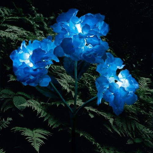 Lampes Solaires Pour Hortensias - Lampes Led Étanches Pour Jardin, Hauteur 75 Cm, Marche/Arrêt Automatique, Options Violet/Bleu