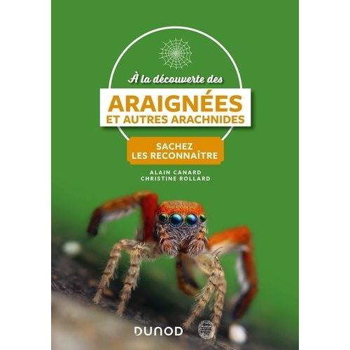 A La Découverte Des Araignées Et Autres Arachnides - Sachez Les Reconnaître