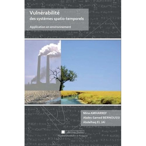 Vulnérabilité Des Systèmes Spatio-Temporels - Application En Environnement