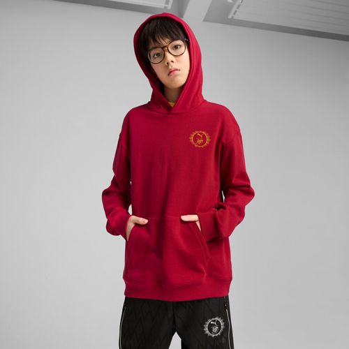Hoodie Décontracté Puma X Harry Potter Enfant Et Adolescent