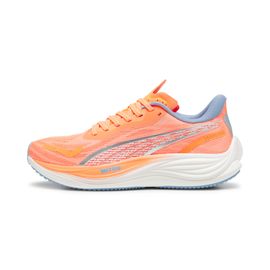 Chaussures De Running Velocity Nitro? 3 Homme
