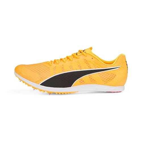 Chaussures Pointes D'athlétisme Evospeed Distance 11