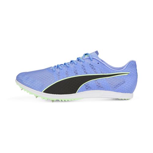 Pointes D'athlétisme Evospeed Distance 11