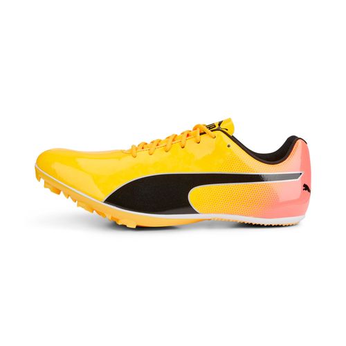 Chaussures D¿athlétisme Evospeed Sprint 14