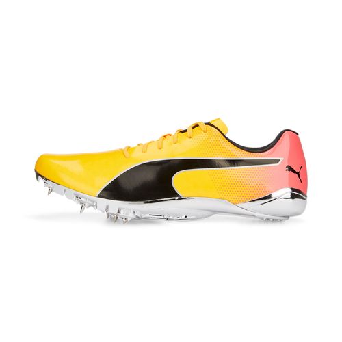 Chaussures Pointes D?athlétisme Evospeed Electric 13