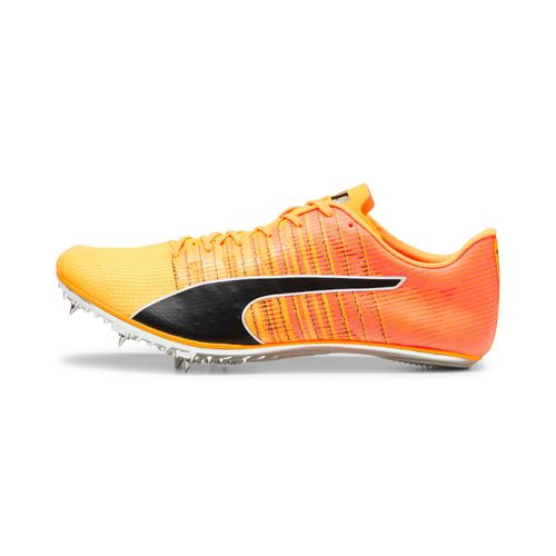 Chaussures D'athlétisme Evospeed Brush 6