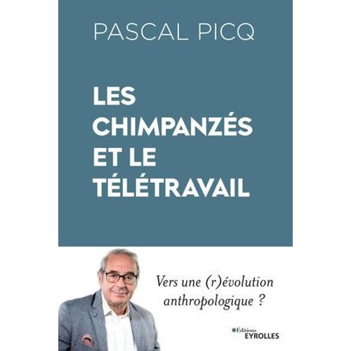 Les Chimpanzés Et Le Télétravail