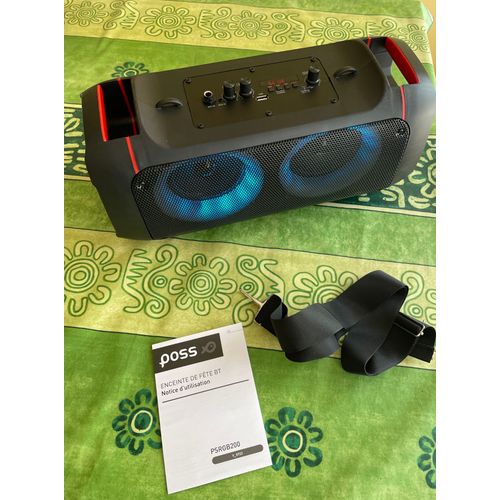 Enceinte de fête sans fil Bluetooth 20W RMS