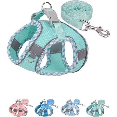 Harnais Pour Chien De Petite Et Moyenne Taille Sans Traction, Ensemble Harnais Et Laisse Pour Chiot, Harnais (Vert, S)
