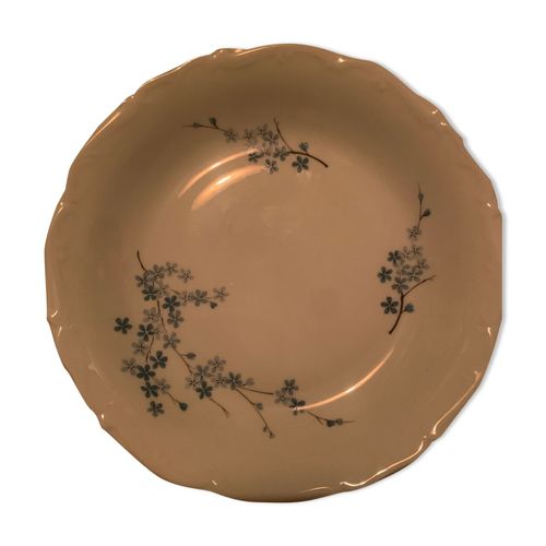 Assiette Vintage Porcelaine De Sologne Multicolore