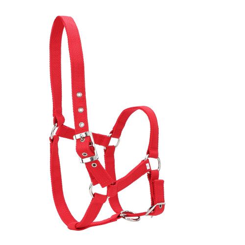 Sangle Haute Densite De 6 Mm D'epaisseur Pour Bride De Cheval, Licol De Controle, Accessoires D'equitation, Couleur Rouge