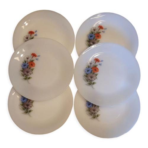 6 Assiettes Arcopal Vintage Blanc