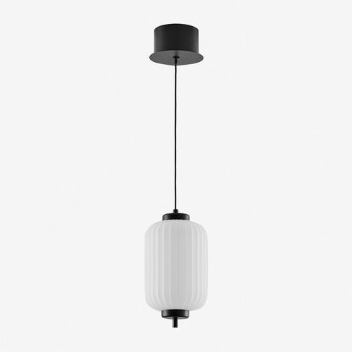Plafonnier Led En Fer Et Avec 1 Boule En Verre Necsar Noir B