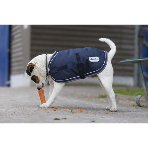 Couverture Diego & Louna 600d Pour Chien - Couleur : Marine, Contrastes Gris/Blanc, Taille : 40 Cm