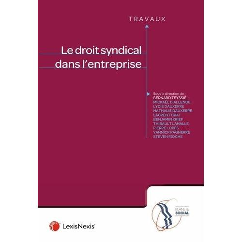 Droit Syndical Dans L'entreprise