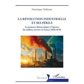 La Révolution Industrielle Et Ses Périls - La Promesse Démocratique À L'épreuve Du Malheur Ouvrier En France (1830-1870)