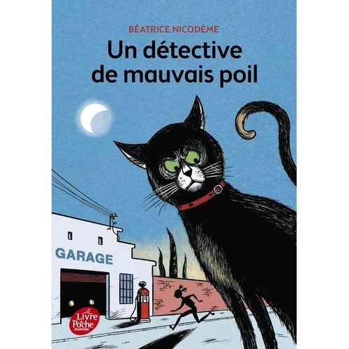 Un Détective De Mauvais Poil