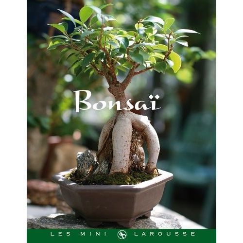 Bonsaï