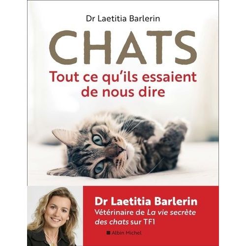 Chats - Tout Ce Qu'ils Essaient De Nous Dire