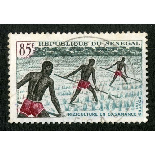 Timbre Oblitéré République Du Sénégal, Riziculture En Casamance, Postes 1965, 85 F