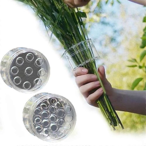 Porte-tige Ikebana spirale, grille florale réutilisable pour Vase, Bloom Shaper pour fleurs Porte-tige en spirale pour Vase L + S