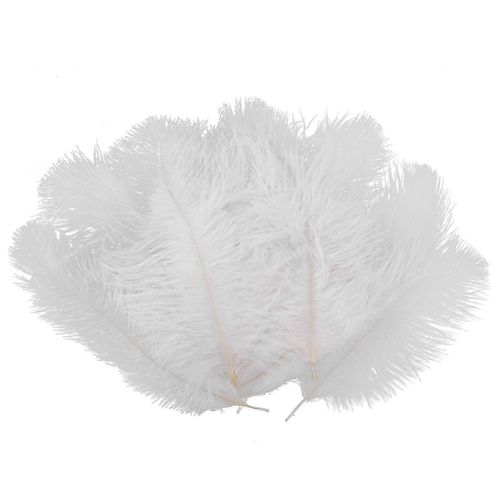 10 Pièces Blanc Naturel Plume D'autruche 20-25cm Mariage Diy