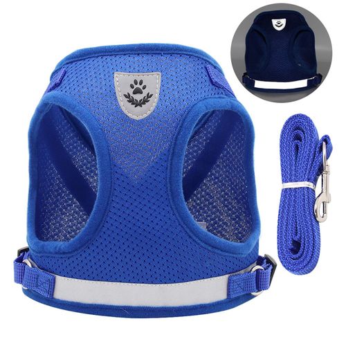 Brosse Pour Chat, Outil De Toilettage Pour Animaux De Compagnie, Peigne En Forme De Coquillage Pour Poils Longs Et Courts, Bleu