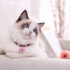 Collier Pour Animaux De Compagnie De Style Japonais, Accessoire En Nylon, Collier A Clochette Pour Chat Avec Chaine D'extension (Rose)