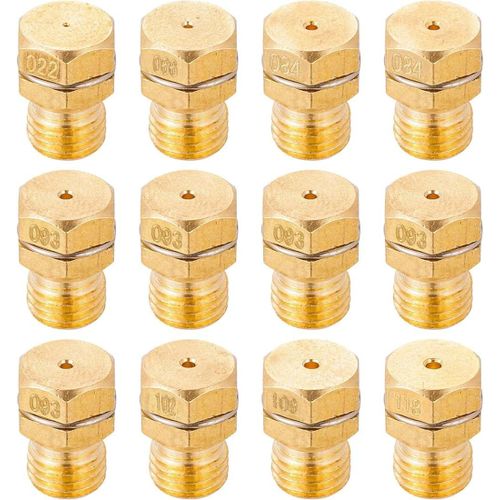 12 Pièces Gicleur Gaz Butane Universels, Injecteur De Gaz Gicleur Bouteille Kit De Conversion, Gpl Bouteille Gicleur Brûleur Pour Cuisinière À Gaz De Brûleur0,22+0,84+0,66+0,93+1,0[MAC1849]