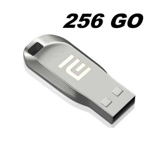 Clé USB 256 Go - USB 3.0 en Métal