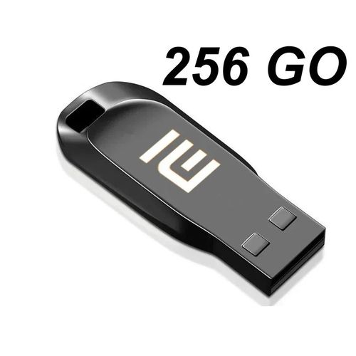 Clé USB 256 Go - USB 3.0 Métal coloré Noir