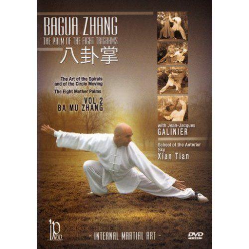 Bagua Zhang Volume 2