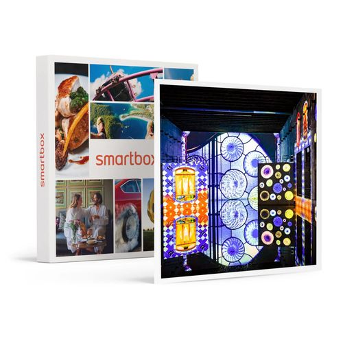 Journée À Bordeaux : 2 Entrées Adulte Pour Les Bassins Des Lumières - Smartbox - Coffret Cadeau Sport & Aventure