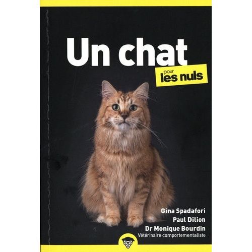 Un Chat Pour Les Nuls
